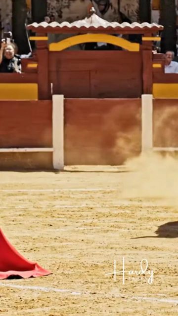 #hardysauer #gaditanos_roman #markt8ludwigsburg #goldenerpflug #hardyliest