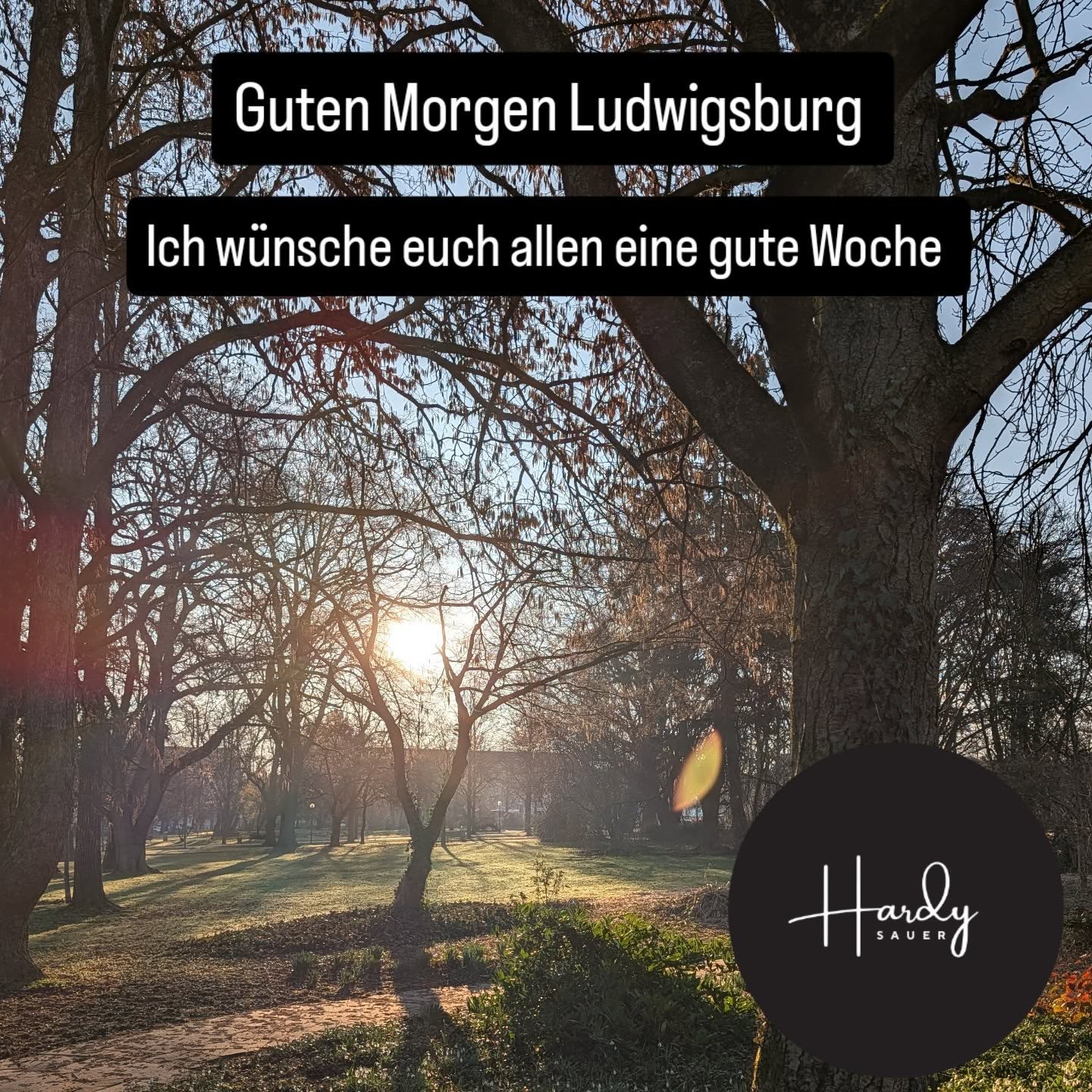 Guten Morgen Ludwigsburg. Ich wünsche euch einen guten Start in die Woche.
#hardysauer #ludwigsburg