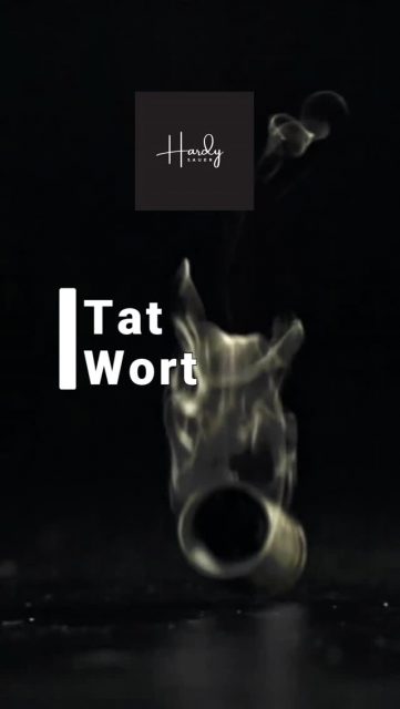 TatWort Körpersprache 
Das limbische System lügt nicht. Denk im nächsten Verhör daran. ;-)
#tatwort #hardysauer